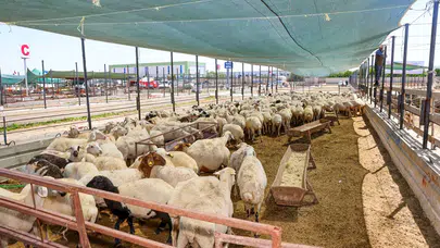 Selçuklu’da bayram mesaisi: Belediye ekipleri 7/24 sahada olacak