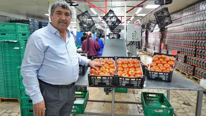 Tarladan sofraya fiyat krizi: Çiftçi üretim planlaması bekliyor