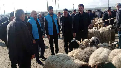 Kurban pazarında rehberlik mesaisi: Çaldıran Müftülüğü'nden vatandaşlara kritik uyarılar