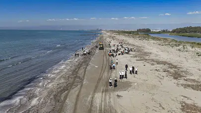 Mersin’de deniz kaplumbağaları için umut nöbeti: Gençler sahili atıklardan arındırdı