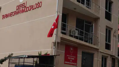 Giresun’da 600 milyonluk vurgun iddiası: İlçe Müdürü sırra kadem bastı