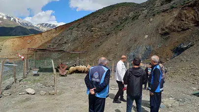 Hakkari’de bayram telaşı başladı: Kurbanlık pazarı kapılarını açtı