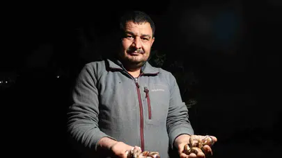 Adana'nın dağlarında gece mesaisi: Fenerini kapan salyangoz toplamaya koşuyor