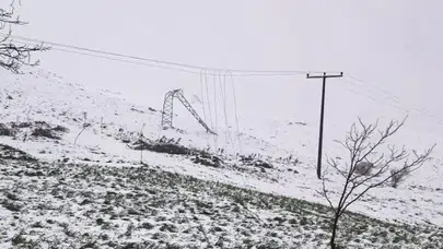Dodurga'da kış kabusu: Fırtına hayatı felç etti, elektrik hatları çöktü