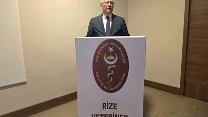 Veteriner hekimlerden Rize zirvesi: Sahipsiz hayvanlar için kritik mesai