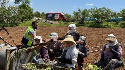 Güneşin altında ter döken emekçilere belediye sürprizi: Tarlada serinleten destek