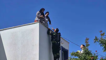 Bodrum’da korku dolu anlar: Kuş çarpması faciaya neden oluyordu