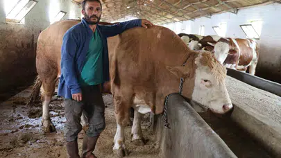 Elazığ'ın dev cüsseli misafiri: 420 bin liralık fiyatıyla pazarın en dikkat çeken ismi oldu