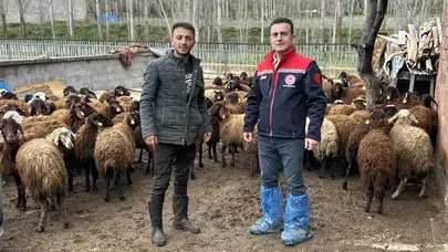 Köyüne döndü, sürüsünü büyüttü: Aydıntepe’de üreticinin yüzü gülüyor
