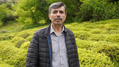 Çay üreticisinin gözü kulağı fiyat açıklamasında: Hasat için geri sayım başladı