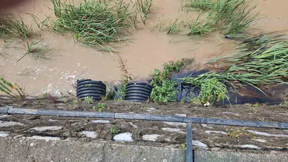Cide’de dereyi boyayan ihmal: Kimyasal atık Karadeniz’e ulaştı