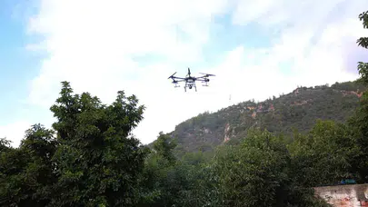 Tarlada teknoloji devri: Drone ile ilaçlama döneminde kurallar netleşti