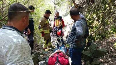 Kekik toplamak için çıktığı uçurumdan 15 metre aşağı çakıldı: Ölümden döndü