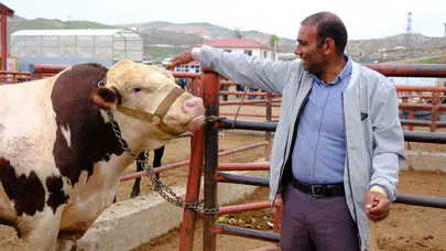 Van'da kurban pazarlığı kızıştı: 415 bin liralık satışla rekor kırıldı