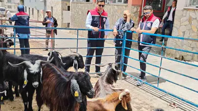 Bozdoğan’da bayram mesaisi: Kurban pazarlarında sıkı denetim