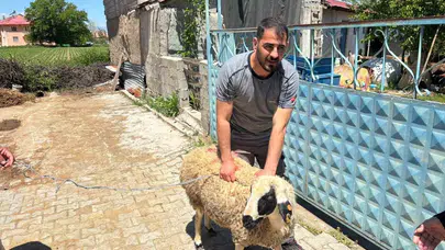 Erzincan’da bayram mesaisi: Kurbanlık koyun bir saat boyunca köşe kapmaca oynattı