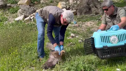 Gökyüzünün özgür kanadı yeniden semalarda: Duyarlı vatandaşlar sayesinde hayata tutundu