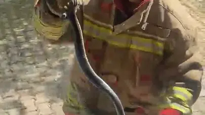 Hatay’da korku dolu anlar: Evlere sızan davetsiz misafirleri itfaiye böyle tahliye etti