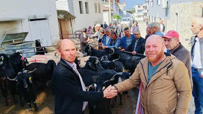 Bozdoğan’da bayram telaşı: Kurbanlıklar görücüye çıktı, fiyatlar belli oldu