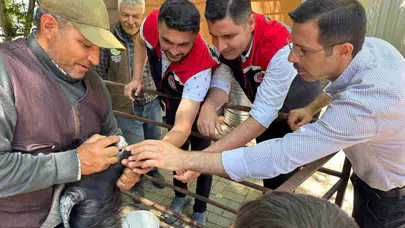 Bozdoğan'da bayram mesaisi: Hayvan pazarında güvenli alışveriş için düğmeye basıldı