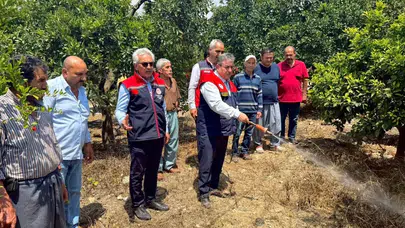 Mersin’de meyve bahçelerini koruma seferberliği: Üreticiye kritik destek