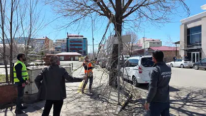 Ardahan’da bahar temizliği: Yeşil alanlar daha güvenli hale getiriliyor