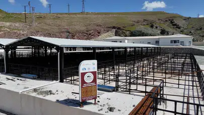 Elazığ’da bayram mesaisi: Modern kurban merkezi için geri sayım başladı