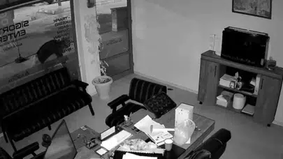 Akşehir'de pes dedirten hırsızlık: Saksıdaki çiçekleri poşetleyip kayıplara karıştı