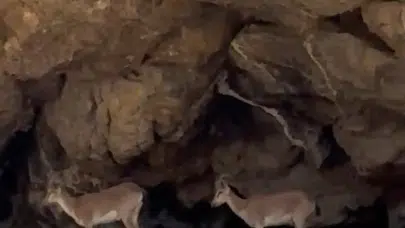 Yer çekimine meydan okuyan zirve yolcuları: Malatya’da nefes kesen anlar