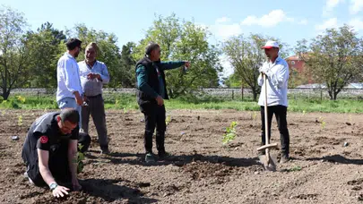 Süper meyve aronya Erzincan topraklarında hayat buluyor: Bölge çiftçisi için yeni umut kapısı