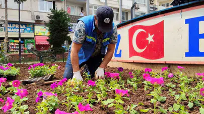 Mersin'de bahar hazırlığı: Parklar 50 bin çiçekle renk cümbüşüne dönüyor