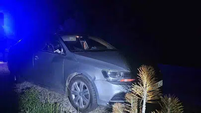 Bilecik yolunda korku dolu anlar: Otomobilin üzerine düşen geyik faciaya davetiye çıkardı
