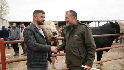 Kastamonu pazarında devir değişti: 340 bin liralık 'Polat' bayramın en pahalıları arasına girdi
