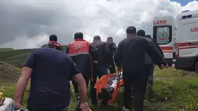 Doğa yürüyüşü kabusa döndü: Mantar ararken ayıyla burun buruna geldi