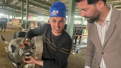Tavşanlı’da son gün telaşı: Kurban pazarında sıkı pazarlıklar geceye kadar sürecek