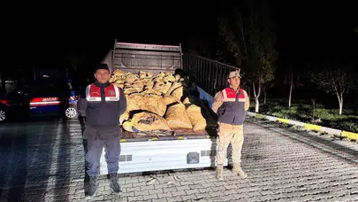 Van Gölü’nün endemik hazinesi inci kefaline kaçak avcı darbesi: 800 kilo balıkla suçüstü yakalandılar