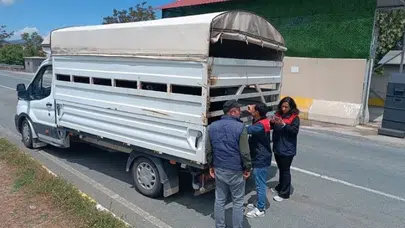 Kurban Bayramı öncesi Elazığ’da alarm: Yollarda veteriner denetimi başladı