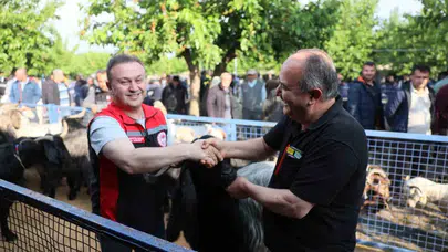 Muğla’da bayram mesaisi başladı: Kurban pazarlarında denetimler zirveye çıktı