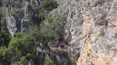 Sarp kayalıklarda ölüm kalım savaşı: AFAD ekipleri seferber oldu
