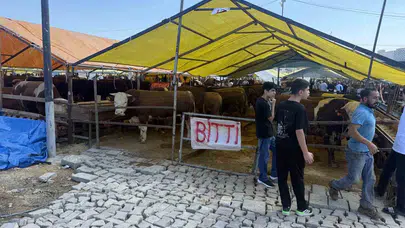 Avcılar’da bayram bereketi: Kurbanlık çadırlarına ‘Bitti’ tabelaları asıldı