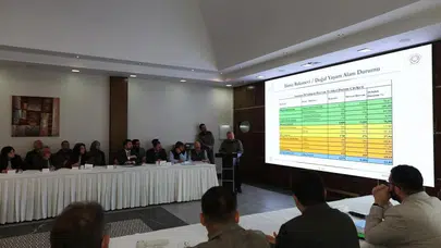 Samsun’da sahipsiz hayvan krizi: 10 ilçede tek bir tesis bile yok