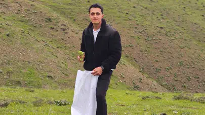 Doğanın şifalı hediyesi sofralara ulaştı: Dağların zirvesinde zorlu kazanç mesaisi başladı