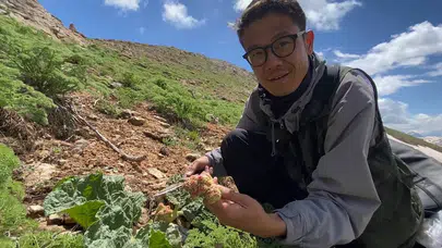 Binlerce kilometre uzaktan geldi, Yüksekova’nın gizli bahçesine hayran kaldı: Japon gezginin rota durağı Hakkari oldu