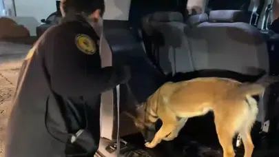 Yüksekova’da zehir tacirlerine darbe: 27 kiloluk sevkiyat polise takıldı