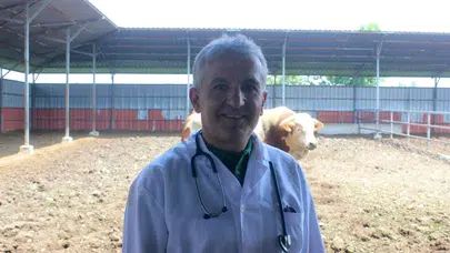 Kurban Bayramı öncesi uzmanından kritik uyarı: Et kalitesini korumanın yolu hayvan refahından geçiyor