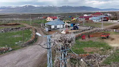 Baharın müjdecisi Ağzıpek’e döndü: Köyün her köşesi kanat sesleriyle şenlendi