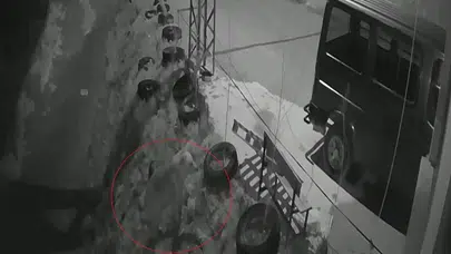Bayburt’un doğal yaşamı güvenlik kamerasında: O noktada bu kez ayı görüldü