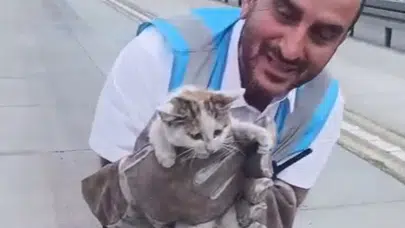 Metrobüs hattında korku dolu anlar: İki yavru kedi son anda kurtarıldı