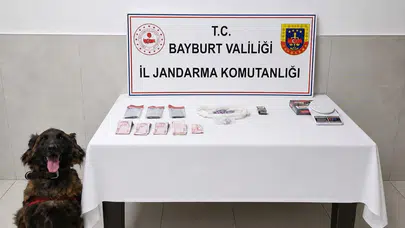 İstanbul'dan Bayburt'a uzanan zehir hattı çökertildi: Köy evinde satış yaparken suçüstü yakalandılar