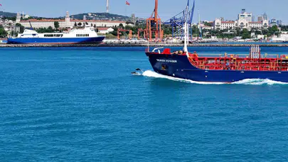 Bayramın en güzel hediyesi Boğaz'dan geldi: Turkuaz suların neşeli misafirleri